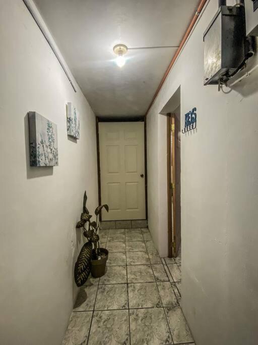 Apartment Casa Nieve *
